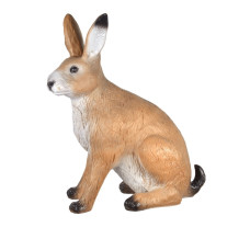 Franzbogen Hare Big